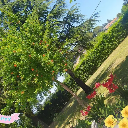 住宿加早餐酒店 贝尔韦德雷柏尤科住宿加早餐旅馆 Pianella (Pescara)